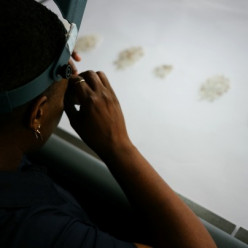 Ботсвана и Ангола в гонке за De Beers