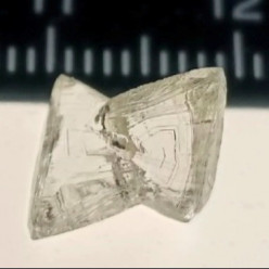 «Бантик-бабочка» стоимостью 10 миллионов рублей