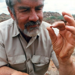 Пока геолог искал драгоценный камень, леопард пожирал антилопу на его кровати: леденящая душу история открытия цаворита