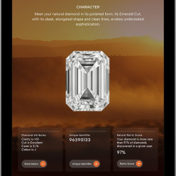 Как программа De Beers Origin меняет способы продажи бриллиантов