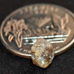 В Арканзасе мужчина нашел крупный коричневый алмаз в государственном парке