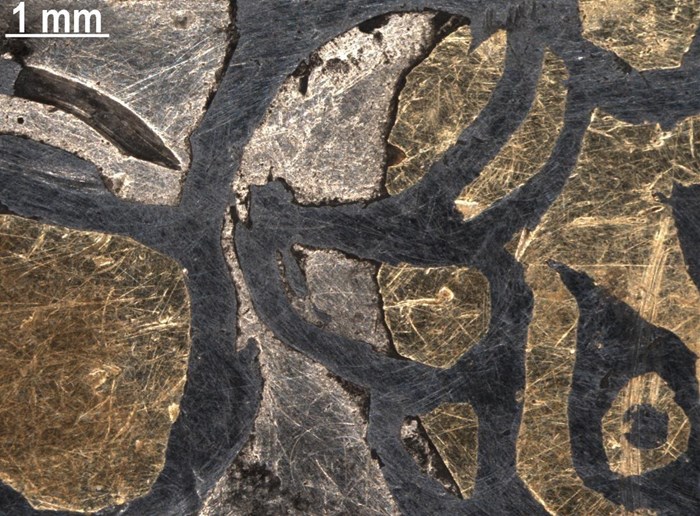 Микроскопический крупный план, показывающий рог и глаз существа, обведенные черным контуром, заполненные серебром и золотом с множеством крошечных царапин.
