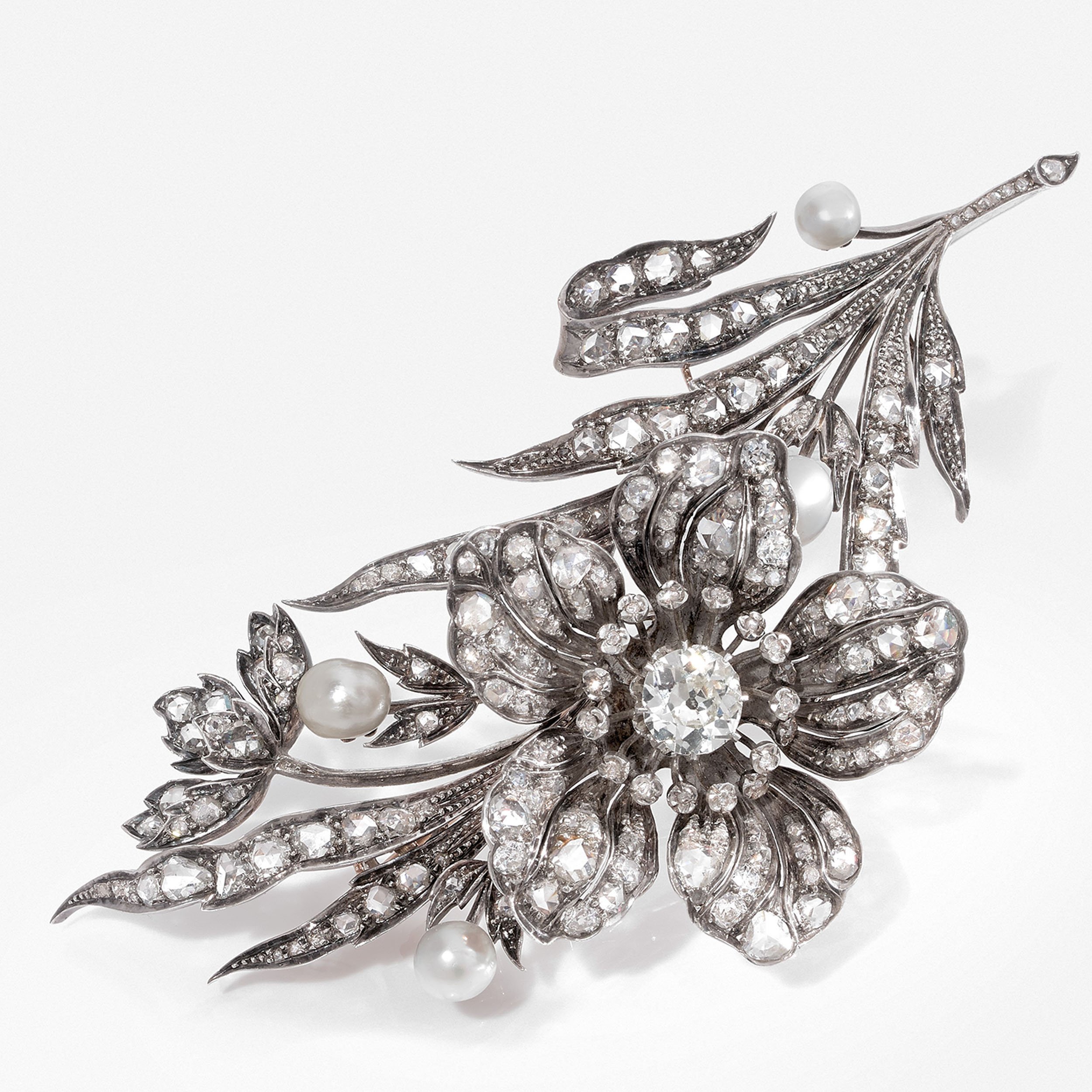 Брошь «Тремблан», Музей Виктории и Альберта