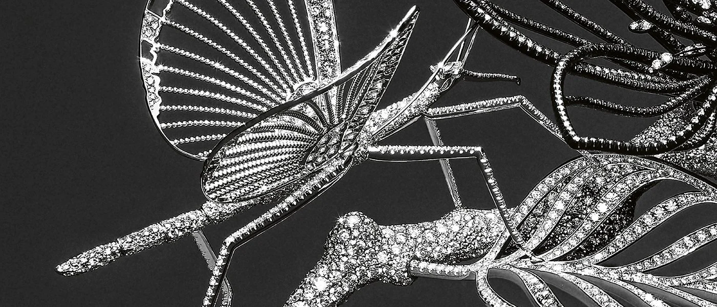 В Бушероне Клэр Шуане рассказывает о мимолетной красоте природы.