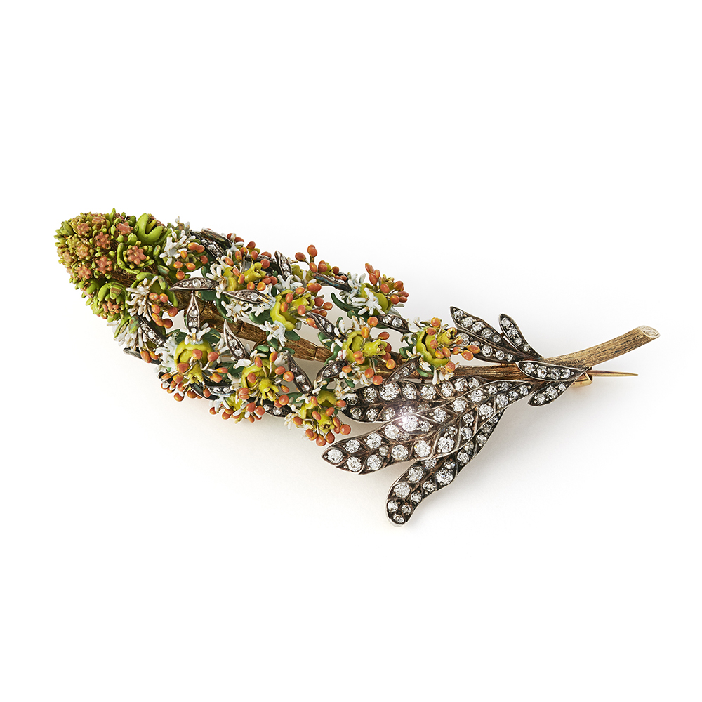 Тиффани миньонетт