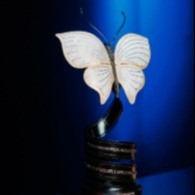 В Москве прошла первая Открытая Евразийская кинопремия «Бриллиантовая бабочка»