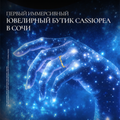 Новый год с Cassiopea: праздничный розыгрыш в ресторане Red Fox