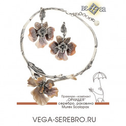 ВЕГА. Что скрывает Murex Scolopax