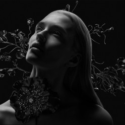 Boucheron представляет коллекцию Высокого ювелирного искусства Carte Blanche, Impermanence: праздник мимолетной красоты