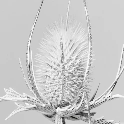 Boucheron.  Клер Шуан рассказывает о мимолетной красоте природы